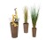 Deco pot set "INDIA" 74/54/44cm