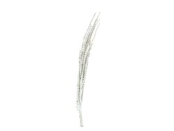 Galho Buriti weiß 150cm