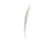 Galho Buriti white 150cm