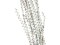 Galho Buriti white 150cm