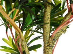 Podocarpus tree, artificial plant, 90cm