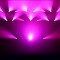 AURO® SPOT 200 - LED Moving Head
