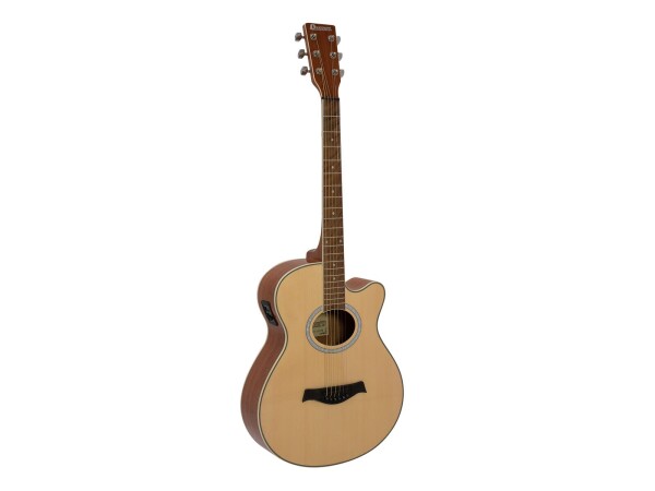 AW-400 Western guitar, nature