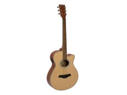 AW-400 Western guitar, nature