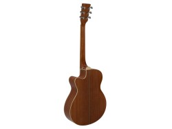 AW-400 Western guitar, nature