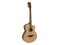 AW-400 Western guitar, nature