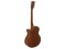 AW-400 Western guitar, nature