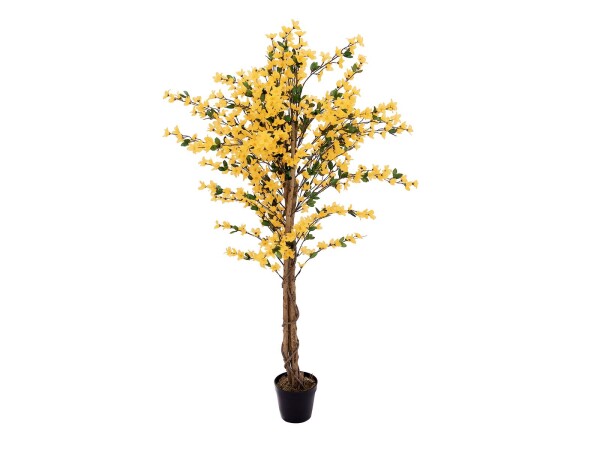 Forsythia tree with 3 trunks, artificial plant, yellow, 150cm