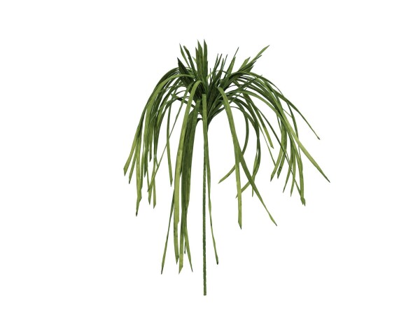 Sea grass (EVA), artificial, green