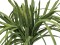 Sea grass (EVA), artificial, green