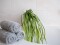 Sea grass (EVA), artificial, green
