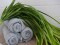 Sea grass (EVA), artificial, green
