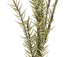 Rosemary Twig (EVA), artificial, green