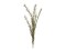 Rosemary Twig (EVA), artificial, green