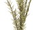 Rosemary Twig (EVA), artificial, green