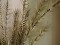 Rosemary Twig (EVA), artificial, green