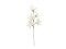 Clematis Branch (EVA), artificial, white