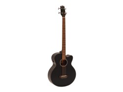 AB-450 Akustikbass, schwarz