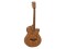 SP-100 Western guitar, nature