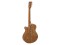 SP-100 Western guitar, nature