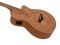 SP-100 Western guitar, nature